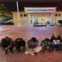 Video Viral Remaja Tawuran di Bogor Barat, Polisi Amankan 8 Pelaku