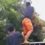 Naik ke Atas Pikap, Aksi Pria Petik Rambutan Orang di Jalan Berakhir Mengenaskan, Publik: Karma is Real