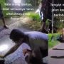 Viral Aksi Warga Gerak Cepat Tambal Jalan Berlubang, Warganet Ramai Sindir Pemerintah