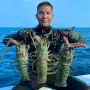 Dari Hobi Menyelam, Anggota TNI Edy Effendi Jadi Selebgram Terkenal