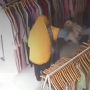Viral Video Aksi Komplotan Emak-emak Maling Baju di Butik, Bikin Publik Geram