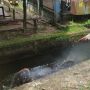 Sempat Dianiaya, Pelaku Jambret yang Dibakar Massa di Palembang Meninggal Dunia