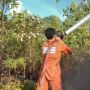 Kebakaran Hutan Kembali Terjadi di Bintan, Damkar Kewalahan Padamkan Lahan 1 Ha