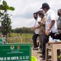 Dukung Strategi Diplomasi Sri Sultan HB X Melalui Kayu, 3 Menteri Canangkan Hutan Nangka di Gunungkidul