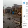 Viral Video Rumah Warga Boro Jabung Malang Rusak Parah Akibat Hujan Angin, Atap Ambrol Berserakan