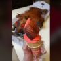 Viral Sisca Kohl Bikin Es Krim Tes Kriuk untuk Imlek, Bahan yang Dipakai Babi Panggang