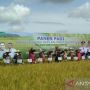 Berani Tolak Jual Beras Lokal Sambas, Bupati Satono akan Cabut Izin Usaha