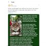 Bawa Kucing Jalan-jalan, Pemilik Bingung Lihat Pria Tahan Nangis saat Elus Kucingnya, Alasannya Bikin Mewek