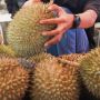 Makanan dengan Bau Paling Menyengat di Dunia, Nomor 1 Ternyata Durian!