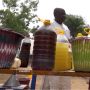 Minyak dari Pohon Mimba, Inovasi Petani di Mali Gantikan Pestisida untuk Berantas Hama