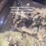 Beli Kue Pancong Tengah Malam, Wanita Ini Kaget Nemu 'Topping' Tambahan Bikin Merinding