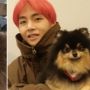 Mengenal Anjing Pomeranian yang Digandrungi Idol K-Pop, Ada Yeontan Milik V BTS