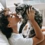 4 Cara Membuat Nyaman Kucing Penakut, Berikan Kasih Sayang Sewajarnya Seperti Langkah Berikut