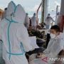 Tiga Awak Kapal dari Hongkong Positif Covid-19 saat Bawa Muatan Batubara di Balikpapan