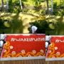 Kocak Tapi Kasihan, Detik-detik  Petugas Dekor Flower Pool Nyungsep ke Kolam