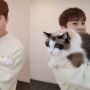 Xiumin Perkenalkan Kucingnya, Daftar Hewan Peliharaan Member EXO Bertambah