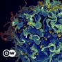 Varian Baru HIV yang Sangat Mematikan Ditemukan di Belanda