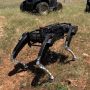 Canggih! Robot Anjing Siap Jadi Penjaga Perbatasan AS
