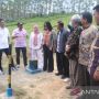 Badikenita BR Sitepu Sebut Pembangunan IKN Tak akan Merusak Alam, Benarkah?