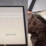 Disimpan Selama 10 Tahun, Wujud Tas Gucci Ini Malah Sukses Bikin Publik Melongo