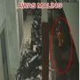 Pemuda Curi Helm di Parkiran Masjid Al-Muhajirin Sidoarjo, Aksinya Terekam CCTV