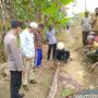 Nenek Batari Tewas Dililit Ular Piton Sepanjang 6 Meter saat Ingin Buang Air di Jamban