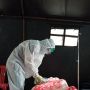 Jawa Barat Kembali Jadi Daerah dengan Kasus Harian COVID-19 Tertinggi di Tanah Air