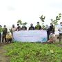 Jamkrindo Kembali Hijaukan Kawasan Ciletuh