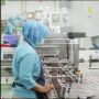 Tingkat Konsumsi Makanan Ringan Meningkat, Oreo Tambah Lini Produksi Biskuit Kelas Dunia di Cikarang