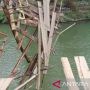 Jembatan Gantung di Lebak Banten Putus Saat Dilintasi Pelajar, PUPR Bakal Segera Perbaiki