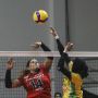 Jadwal Proliga 2022 Hari Ini Live di O Channel, 12 Februari