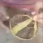 Wanita Ini Unboxing Durian Seharga Rp 50 Ribu, Begitu Terbuka Isinya Bikin Melongo