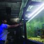 Melihat Surga Ikan Hias di Kawasan Menteng
