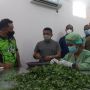 Pusat Pembelajaran Kelor Pertama Asia Tenggara Dibangun di Kota Palu