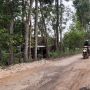 Jalur ke Tempat Wisata, Ruas Jalan Patuk-Dlingo Sepanjang 1,5 KM Segera Diperbaiki