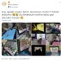 Bak Anak Kecil Ketagihan Main Gadget, Kucing ini Tak Kalah Kecanduan Nonton Video, "Kalau Enggak Dituruti Marah-Marah"