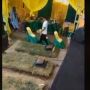 Viral Panggung Hajatan di Atas Kuburan, Warganet: Kondangan 2 Alam