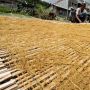 Rencana Revisi PP 109 Tahun 2012 Dinilai Bakal Bikin Petani dan Buruh Tembakau Menjerit