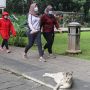 Survei Serologi Sebut 98 Persen Penduduk Indonesia Punya Antibodi Covid-19, Masihkah Perlu Pakai Masker?