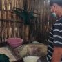 Harga Kedelai di Mataram Rp 11 Ribu per Kilogram, Perajin Tahu Menjerit