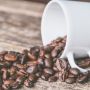 Bukan hanya Diminum, Ini 4 Manfaat Kopi untuk Kesehatan Rambut