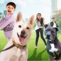 June dan Kopi: Film yang Membawa Sahabat Sejati Manusia ke Sinema Indonesia