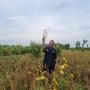 Penuhi Kebutuhan Kedelai, Kementan Siap Kembangkan Benih Nasional