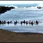 Doakan Korban Pantai Payangan Jadi Alasan Belasan Warga Nganjuk Gelar Ritual di Pantai Watu Ulo Jember