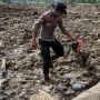 Proses Pencarian Korban Gempa di Pasaman