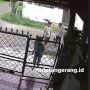 Terekam CCTV, Viral Para Bocah Curi Paket di Teras Rumah Warga, Aksinya Tuai Perdebatan