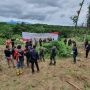 6,28 Hektare Ladang Ganja Ditemukan di Aceh, Berawal dari Ungkap Kasus di Lampung