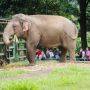 Libur Isra Miraj, Taman Margasatwa Ragunan Ramai Wisatawan