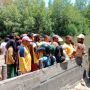 Mau Tangkap Bebek Sesajen Umat Hindu di Sungai, Pelajar Diterkam Buaya 5 Meter