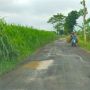 Pemkab Pasuruan Anggarkan Rp57 Miliar untuk Perbaikan Jalan Rusak, Dikerjakan Mei 2022